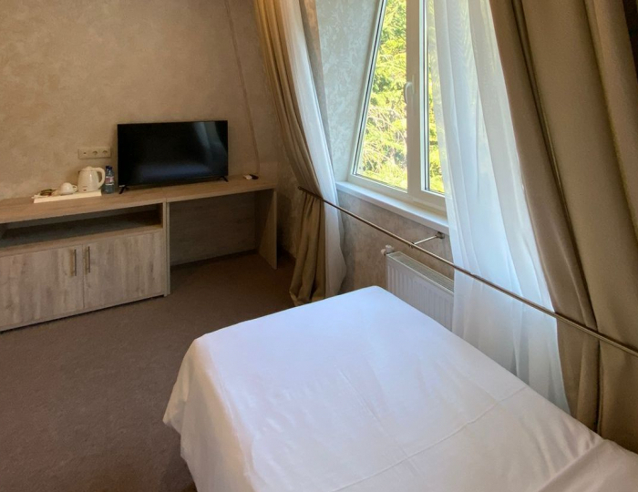 Стандарт 1-местный 1-комнатный б/б вид на парк - Парк-отель «Кавказ» Гагра