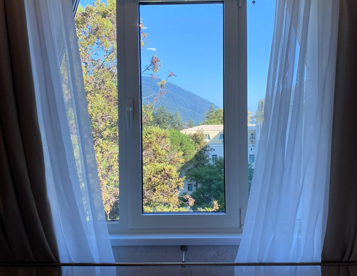 Стандарт 1-местный 1-комнатный б/б вид на парк - Парк-отель «Кавказ» Гагра