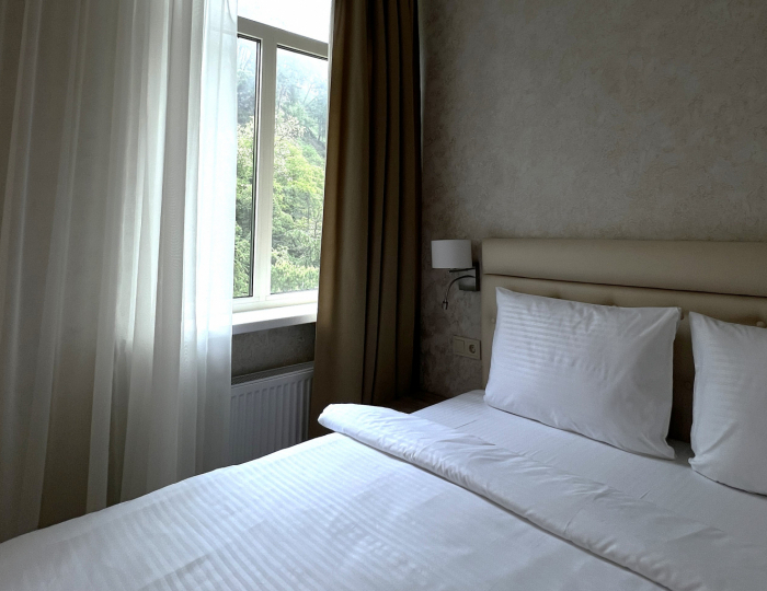 Улучшенный 2-местный 1-комнатный без балкона (вид на парк) - Парк-отель «Кавказ» Гагра